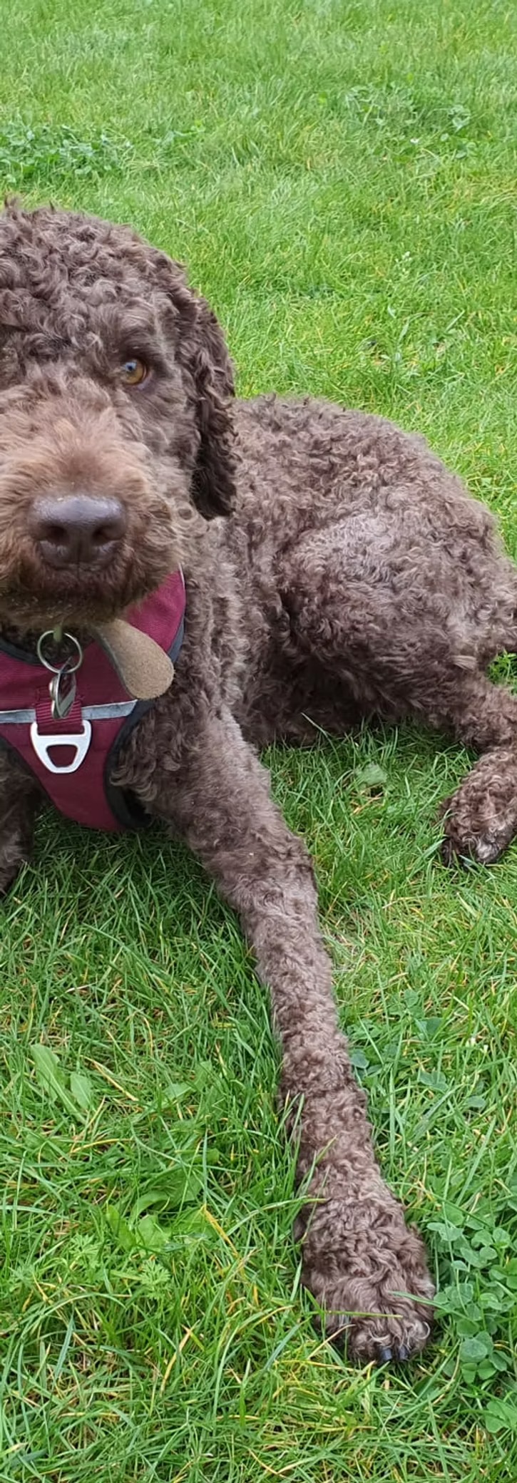 imageye___-_imgi_52_bd0da7_27755144d4a6415ca413127dddfdf55a~mv2