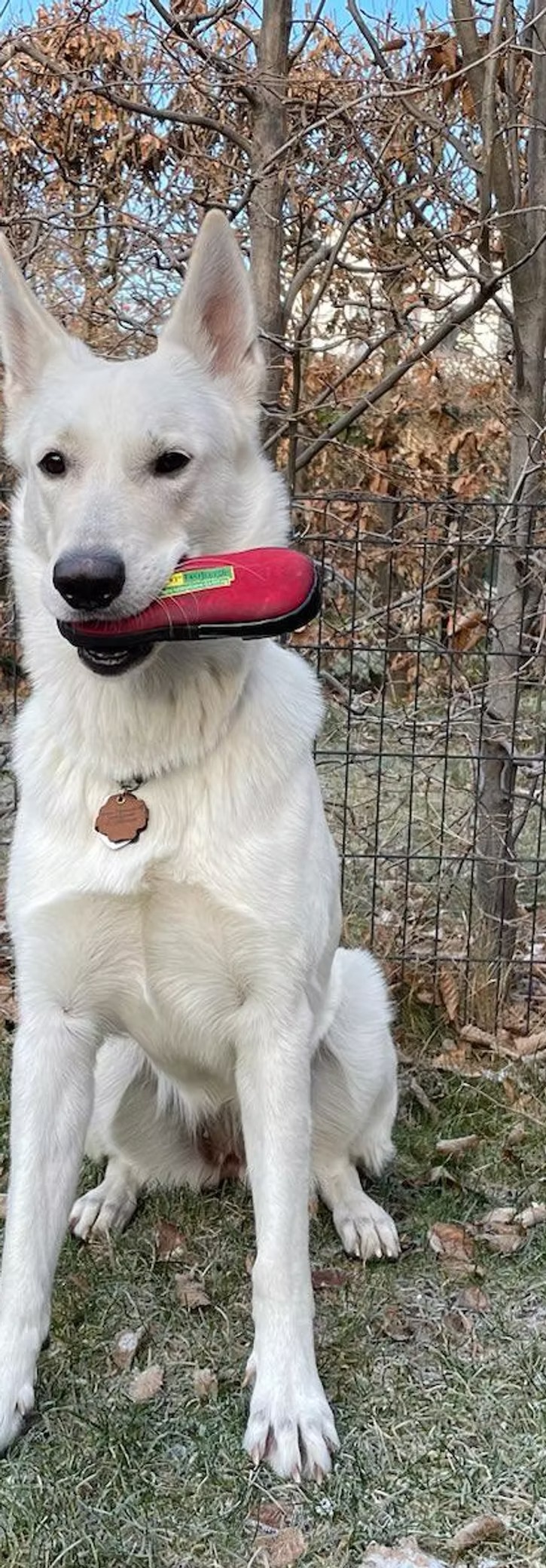 imageye___-_imgi_58_bd0da7_21fc34d48fbe4f1b8ee5fdc268e6a8c5~mv2