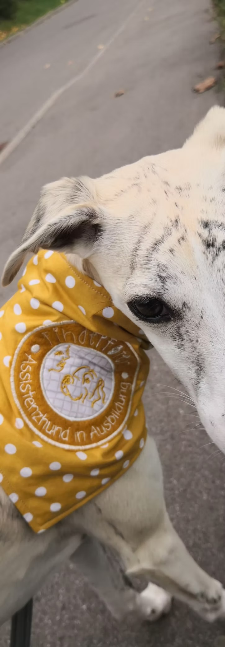 imageye___-_imgi_63_bd0da7_74c3b9a7d1fa41f0894e615aa208de0b~mv2